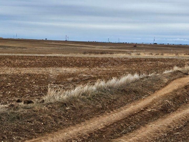 SÜTLÜÇE 2.542 m2 SATILIK KÖYE YAKIN MESAFEDE - Görsel 3