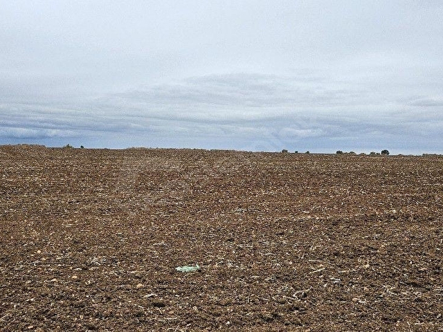 SÜTLÜÇE 2.542 m2 SATILIK KÖYE YAKIN MESAFEDE - Görsel 17