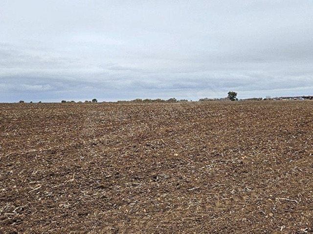 SÜTLÜÇE 2.542 m2 SATILIK KÖYE YAKIN MESAFEDE - Görsel 18