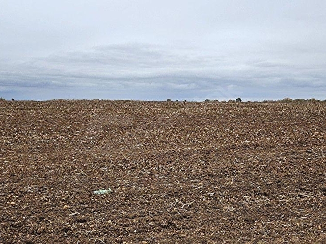 SÜTLÜÇE 2.542 m2 SATILIK KÖYE YAKIN MESAFEDE - Görsel 19