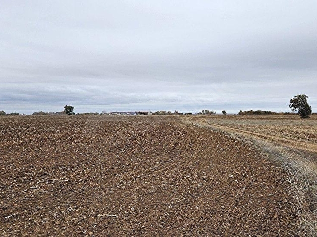 SÜTLÜÇE 2.542 m2 SATILIK KÖYE YAKIN MESAFEDE - Görsel 24