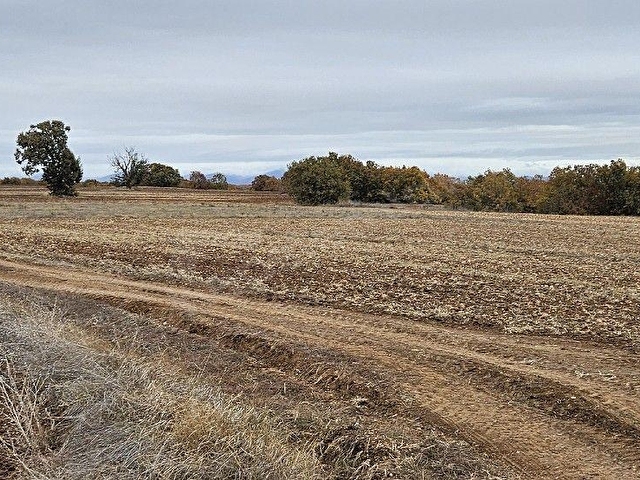 SÜTLÜÇE 2.542 m2 SATILIK KÖYE YAKIN MESAFEDE - Görsel 29