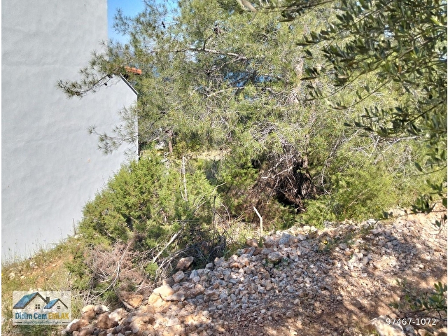FULL DENİZ VE ORMAN MANZARALI SATILIK 248 M2 ARSA - Görsel 5