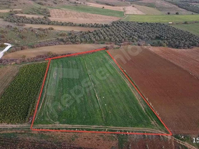 TİRE ÇAĞAN GAYRİMENKULDEN YATIRIMLIK FIRSATI TARLA - Görsel 16
