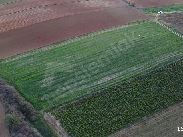 TİRE ÇAĞAN GAYRİMENKULDEN YATIRIMLIK FIRSATI TARLA - Görsel 7