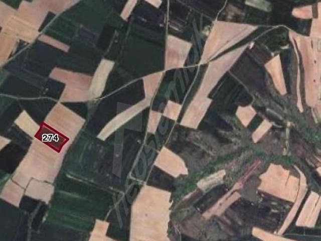 Kırklareli Koyunbaba Köyünde 379m2 Satılık Hisseli Tarla - Görsel 4