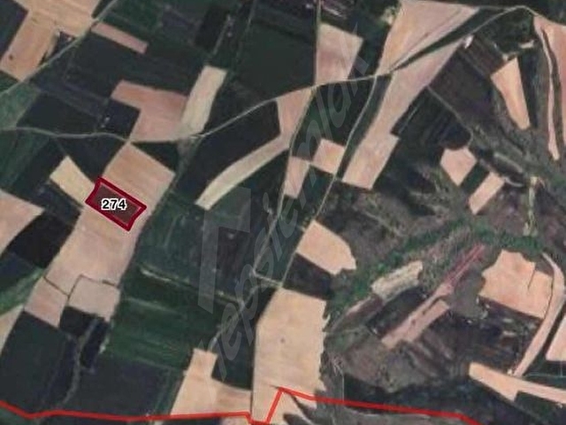 Kırklareli Koyunbaba Köyünde 379m2 Satılık Hisseli Tarla - Görsel 2