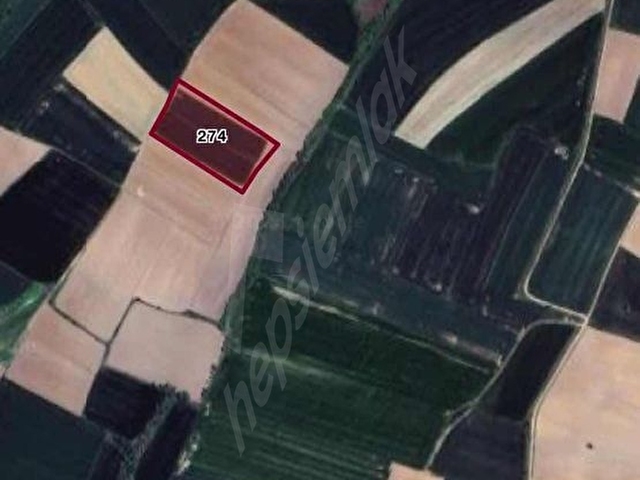 Kırklareli Koyunbaba Köyünde 379m2 Satılık Hisseli Tarla - Görsel 3