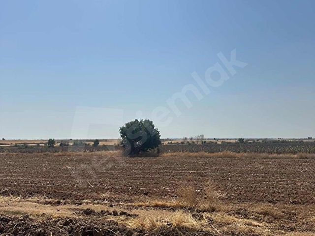Kırklareli Koyunbaba Köyünde 379m2 Satılık Hisseli Tarla - Görsel 10