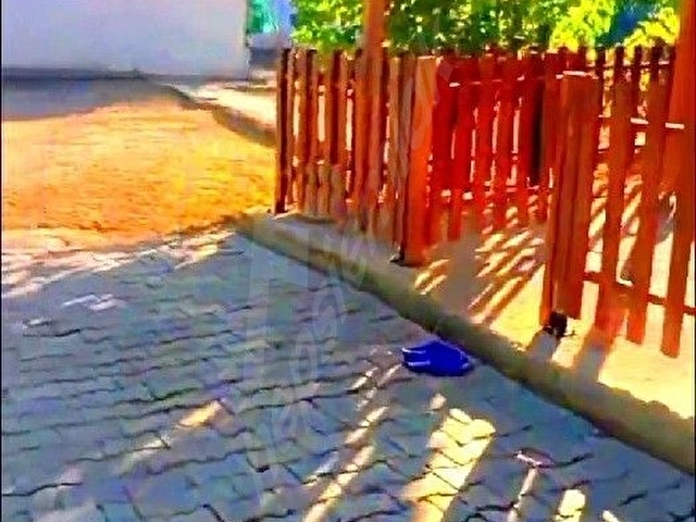 Trakya da Kırklareli Babaeski Büyükmandıra Beldesinde - Görsel 25