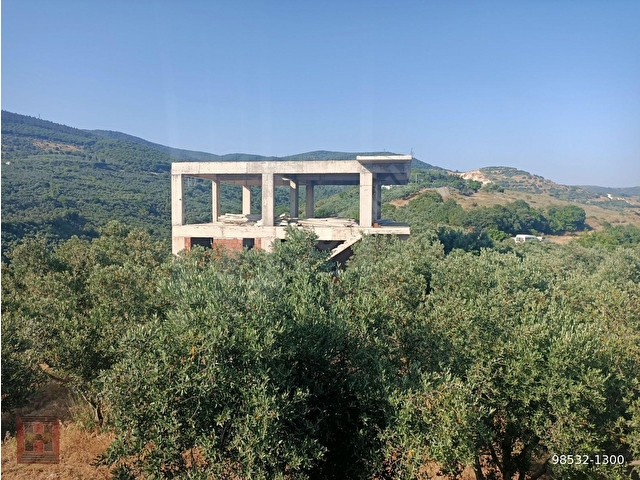 HAMDİ EMLAKTAN MUHTEŞEM MANZARALI YOLA CEPHELİ 5630 M2 ZEYTİNLİK - Görsel 2