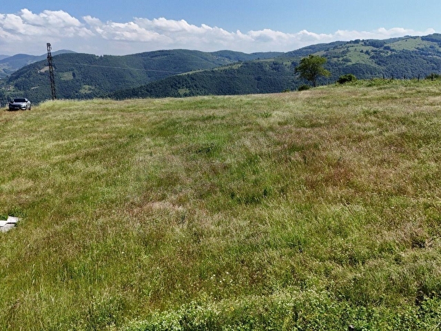 Bİ·NOVA DAN CANİK BAŞKONAK KÖYÜNDE SATILIK 4525 M² TARLA - Görsel 18