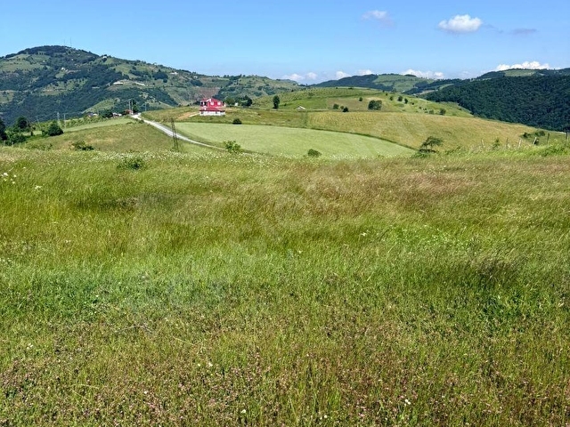 Bİ·NOVA DAN CANİK BAŞKONAK KÖYÜNDE SATILIK 4525 M² TARLA - Görsel 4
