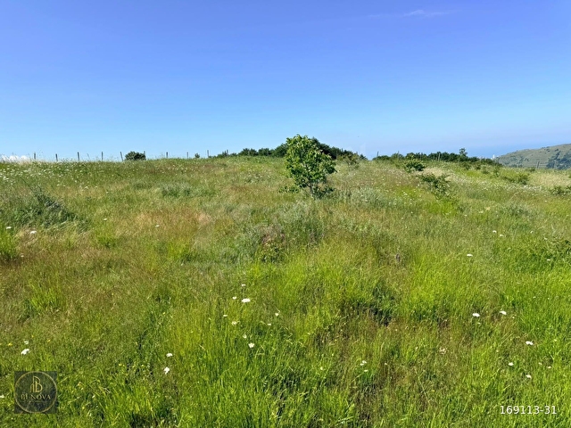 Bİ·NOVA DAN CANİK BAŞKONAK KÖYÜNDE SATILIK 4525 M² TARLA - Görsel 11