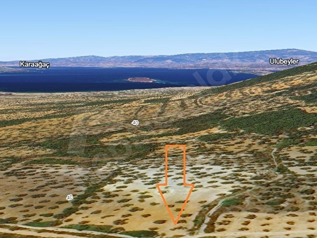 ROUTE 10DAN AYVALIK CUNDA ADASINDA SATILIK ZEYTİNLİK - Görsel 3