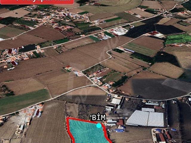 C21 TRUST | Ereğlide 21330 m² Yatırımlık Elma Bahçesi - Görsel 5