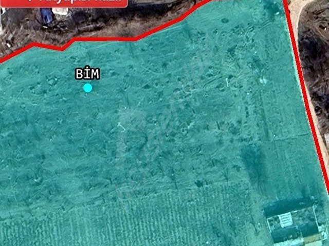 C21 TRUST | Ereğlide 21330 m² Yatırımlık Elma Bahçesi - Görsel 2