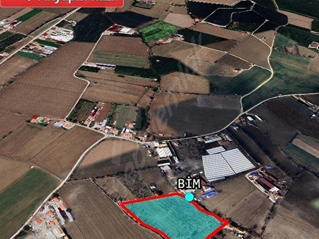 C21 TRUST | Ereğlide 21330 m² Yatırımlık Elma Bahçesi - Görsel 4
