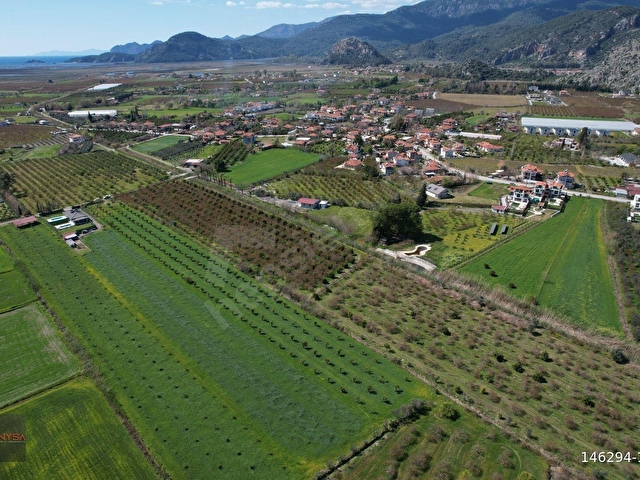 NYSA EMLAKTAN DALYAN ARIKBAŞI MH 6.600 M2 ŞAHSİ TAPU TARLA - Görsel 11