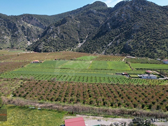 NYSA EMLAKTAN DALYAN ARIKBAŞI MH 6.600 M2 ŞAHSİ TAPU TARLA - Görsel 12