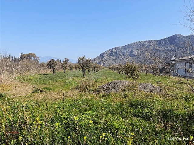 NYSA EMLAKTAN DALYAN ARIKBAŞI MH 6.600 M2 ŞAHSİ TAPU TARLA - Görsel 15
