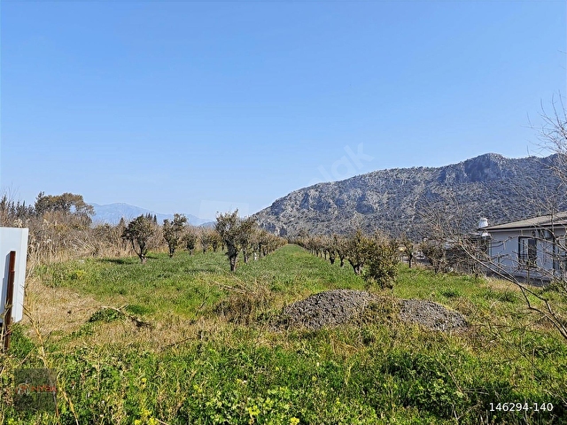 NYSA EMLAKTAN DALYAN ARIKBAŞI MH 6.600 M2 ŞAHSİ TAPU TARLA - Görsel 17
