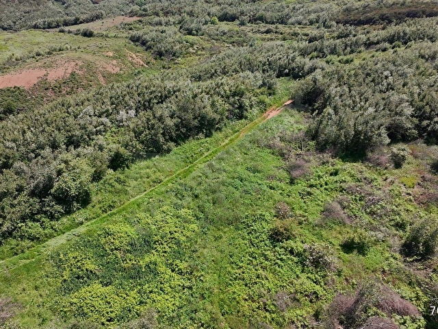Balıkesir Bandırma Sahil Yenice Mah. 2.135 m2 Satılık Tarla Yatırımlık - Görsel 2