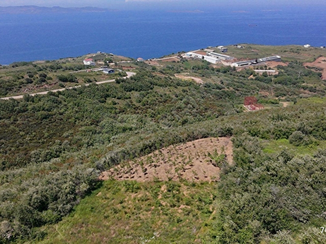 Balıkesir Bandırma Sahil Yenice Mah. 2.135 m2 Satılık Tarla Yatırımlık - Görsel 4