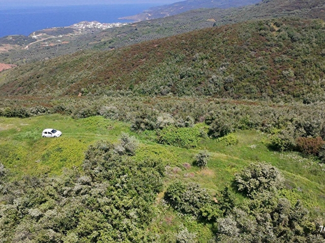 Balıkesir Bandırma Sahil Yenice Mah. 2.135 m2 Satılık Tarla Yatırımlık - Görsel 3