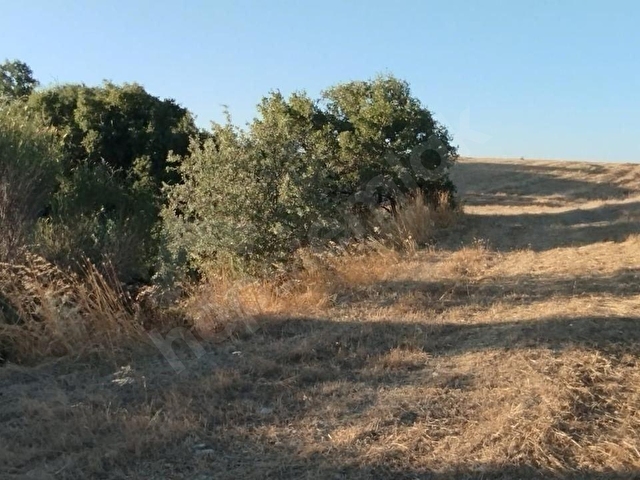 ÇANAKKALE / LAPSEKİ / MECİDİYE KÖYÜ SATILIK ARAZİ - Görsel 8
