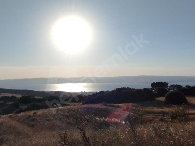 ÇANAKKALE / LAPSEKİ / MECİDİYE KÖYÜ SATILIK ARAZİ - Görsel 6