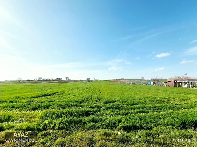 KIRKLARELİ PINARHİSAR TOZAKLI KÖYÜNDE ASFALT CEPHE 3060M2 TARLA - Görsel 6