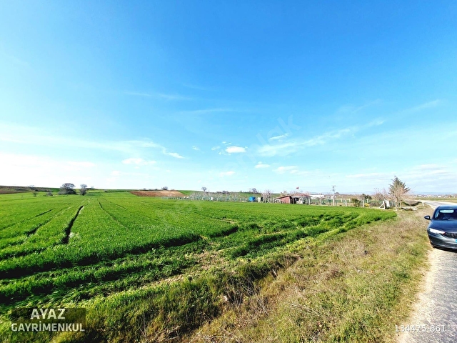 KIRKLARELİ PINARHİSAR TOZAKLI KÖYÜNDE ASFALT CEPHE 3060M2 TARLA - Görsel 5
