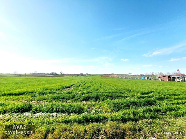 KIRKLARELİ PINARHİSAR TOZAKLI KÖYÜNDE ASFALT CEPHE 3060M2 TARLA - Görsel 15