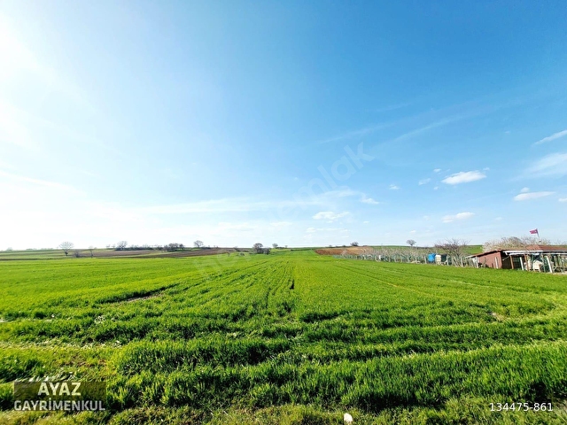 KIRKLARELİ PINARHİSAR TOZAKLI KÖYÜNDE ASFALT CEPHE 3060M2 TARLA - Görsel 3