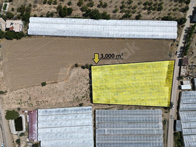 ELMALI KIZILBEL MEVKİNDE 3.000 m² YÜKSEK  BAKIMLI SERA SATILIKTIR. - Görsel 4