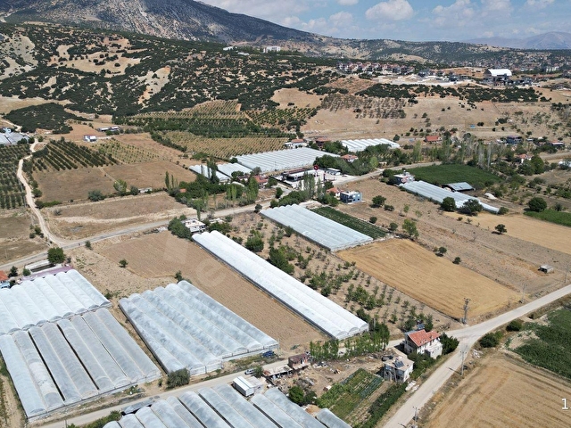 ELMALI KIZILBEL MEVKİNDE 3.000 m² YÜKSEK  BAKIMLI SERA SATILIKTIR. - Görsel 25