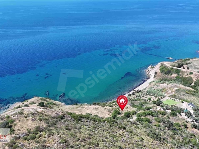 Karaburun da Denize Sıfır 5.700m2 Tarla - Görsel 13