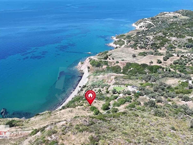 Karaburun da Denize Sıfır 5.700m2 Tarla - Görsel 7