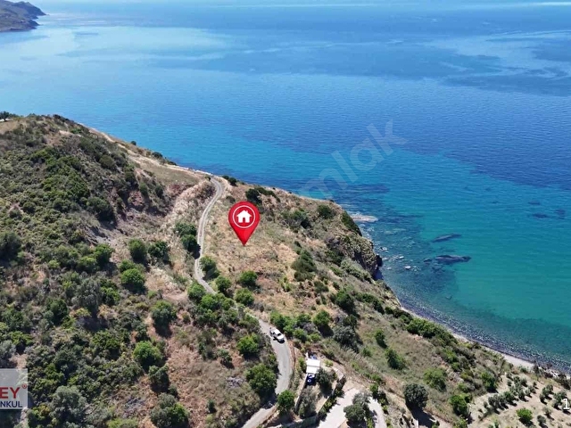 Karaburun da Denize Sıfır 5.700m2 Tarla - Görsel 15
