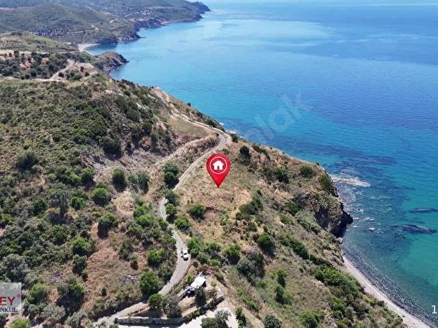 Karaburun da Denize Sıfır 5.700m2 Tarla - Görsel 16