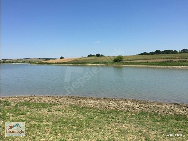 EDİRNE MERİÇTE SATILIK TARLA GÖL KENARI ÇİFTLİK YERİ 2350 M2 - Görsel 3