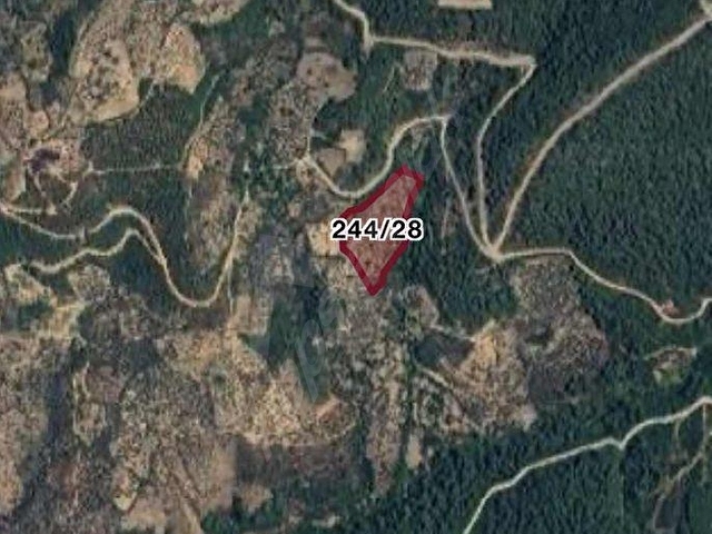 BAYINDIRDA 800 ZEYTİN AĞAÇLI 13.315 m² TEK TAPU ZEYTİNLİK - Görsel 5