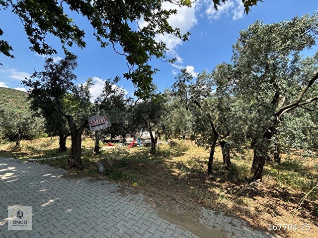 Gemlik narlı köyünde imara çok yakın - Görsel 2