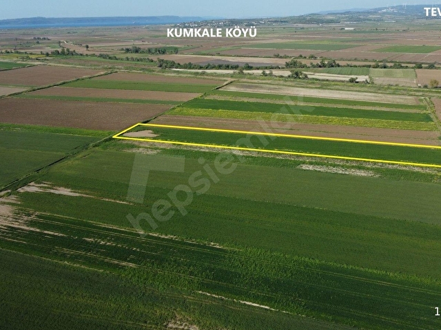 TEVFİKİYEDE RESMİ YOLLU, 10.036 m² YATIRIMLIK PARSEL - Görsel 7