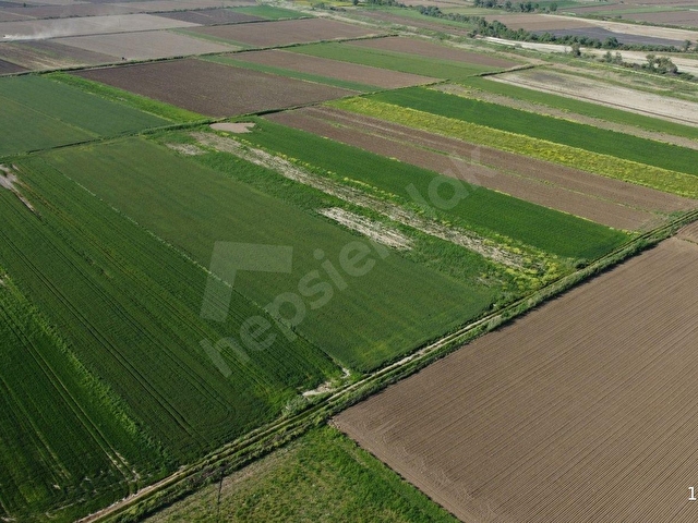 TEVFİKİYEDE RESMİ YOLLU, 10.036 m² YATIRIMLIK PARSEL - Görsel 8