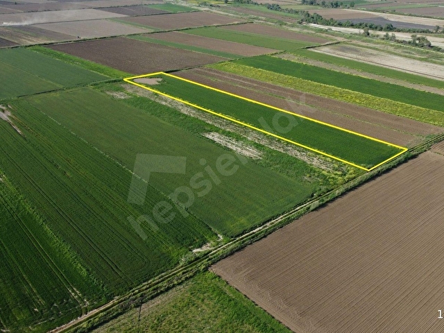 TEVFİKİYEDE RESMİ YOLLU, 10.036 m² YATIRIMLIK PARSEL