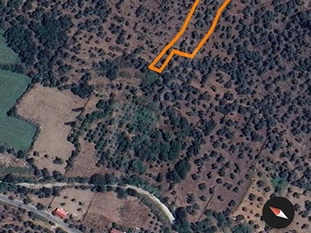 Muğla Milas Kandakta Müstakil 2.232 m² Satılık Zeytinlik - Görsel 3