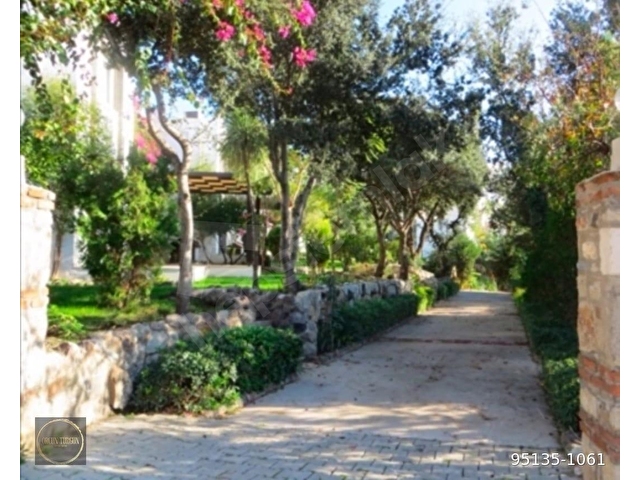 Bodrum Gümüşlük Geniş Bahçeli Yıllık kiralık Köşe Villa - Görsel 23