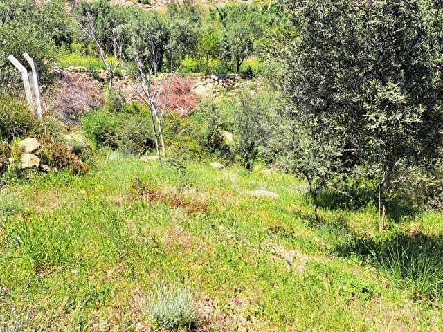 S.Hisar Ürkmez de Baraj ve Deniz Manzaralı Müstakil Tapulu Tarla - Görsel 25